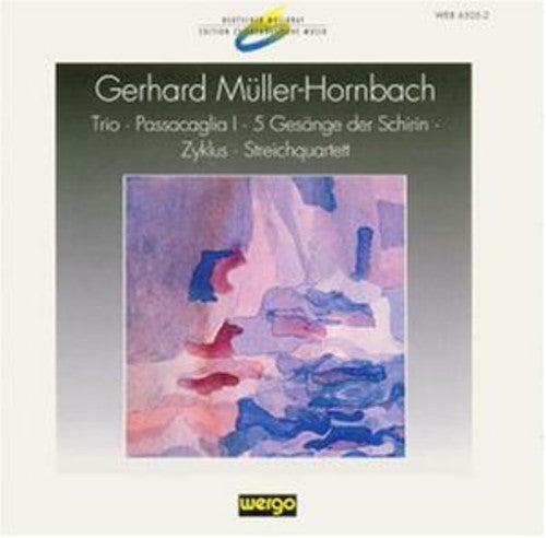 Various Artists: Muller-hornbach: Trio - Passacaglia I / Various - CD