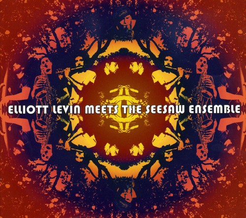 Elliott Levin Meets the Seesaw Ensemble: Elliot Levine Meets the Seesaw Ensemble - COMPACT DISCS