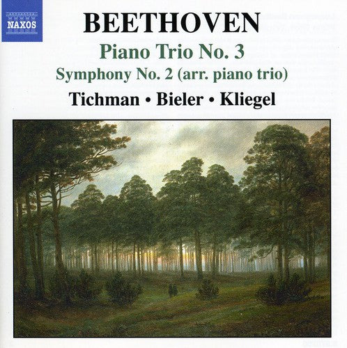 Xyrion Trio: Piano Trio No 3 / Symphony No 2 - CD