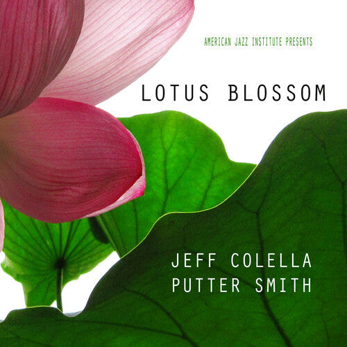 Jeff Colella: Lotus Blossom - COMPACT DISCS