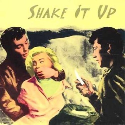 Various Artists: Shake It Up - COMPACT DISCS