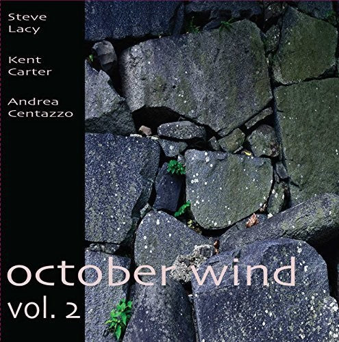 Steve Lacy: October Wind Vol 2 - COMPACT DISCS