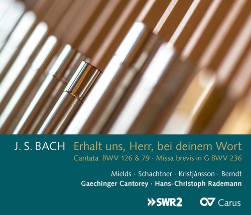 Bach, J.S. / Mields / Rademann: JS Bach: Erhalt Uns, Herr, Bei Deinem Wort - CD