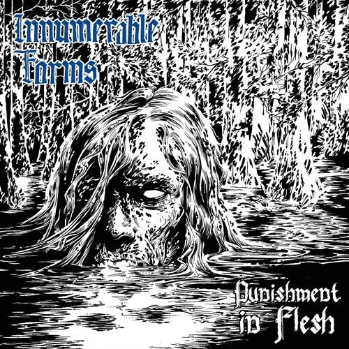 Innumerable Forms: Punishment In Flesh - CD