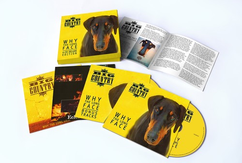 Big Country: Why The Long Face - CD
