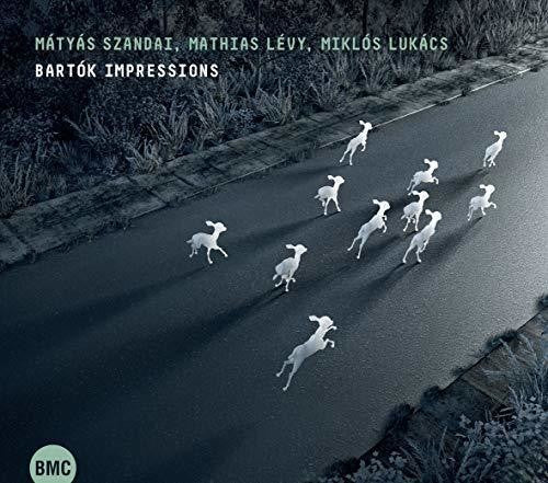 Szandai, Matyas / Levy, Mathias: Bartok Impressions - COMPACT DISCS