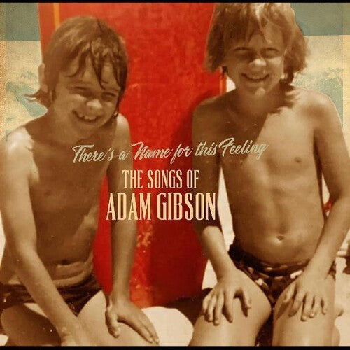 Adam Gibson: Songs Of Adam Gibson - { VINYL }