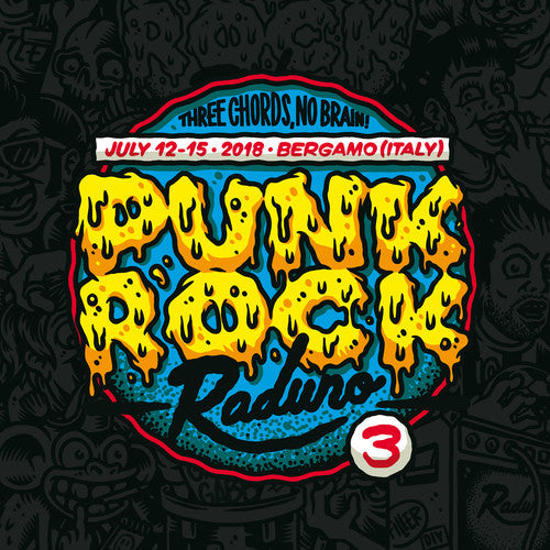 Various Artists: Punk Rock Raduno 3 - { VINYL }