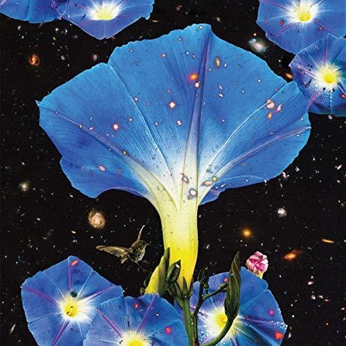 Sarah Louise: Nighttime Birds And Morning Stars -VINYL