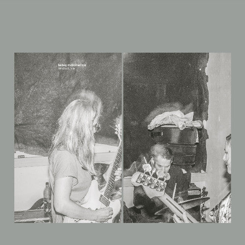 Hedvig Mollestad Trio: Smells Funny - COMPACT DISCS
