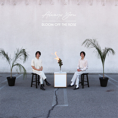Always You: Bloom Off The Rose - { VINYL }