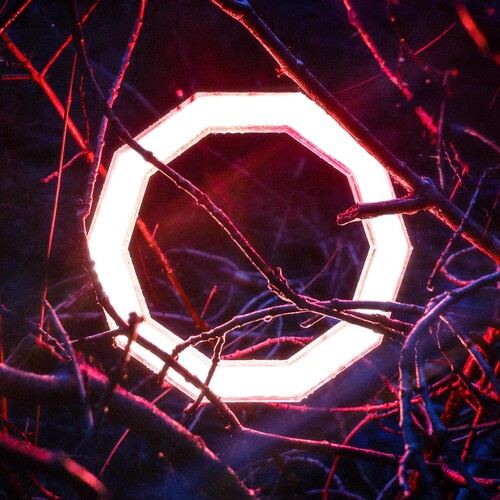 Hybrid Minds: Reflections - { VINYL }