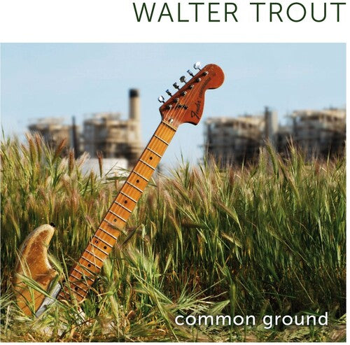 Walter Trout: Common Ground - COMPACT DISCS