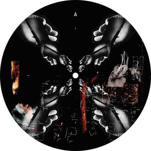 Palmer, Lilly: We Control - 12-INCH SINGLE