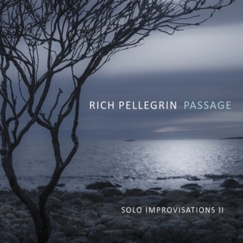 Rich Pellegrin: Passage: Solo Improvisations Ii - COMPACT DISCS