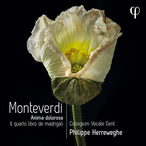 Philippe Herreweghe: Il Quarto Libro de - COMPACT DISCS