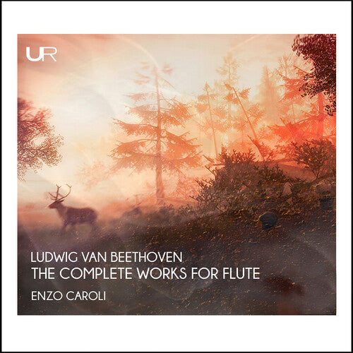 Jung Hun Yoo: Complete Works - COMPACT DISCS