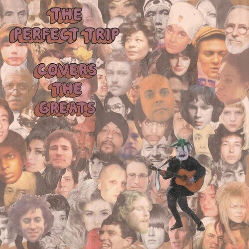 Perfect Trip: Covers the Greats - COMPACT DISCS