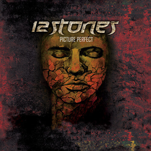 12 Stones: Picture Perfect -VINYL