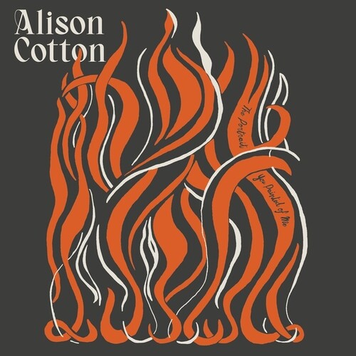 Alison Cotton: Portrait You Painted of Me -VINYL
