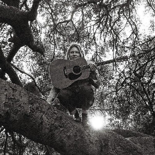 Ty Segall: Hello Hi -VINYL