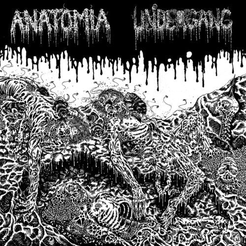 Undergang / Anatomia: Split -VINYL