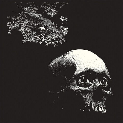 Osees: Foul Form -VINYL