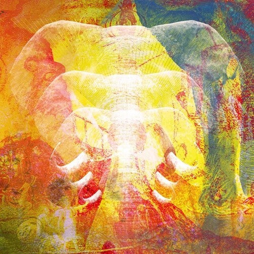 Join the Din: Elephants In Autumn Rage - COMPACT DISCS