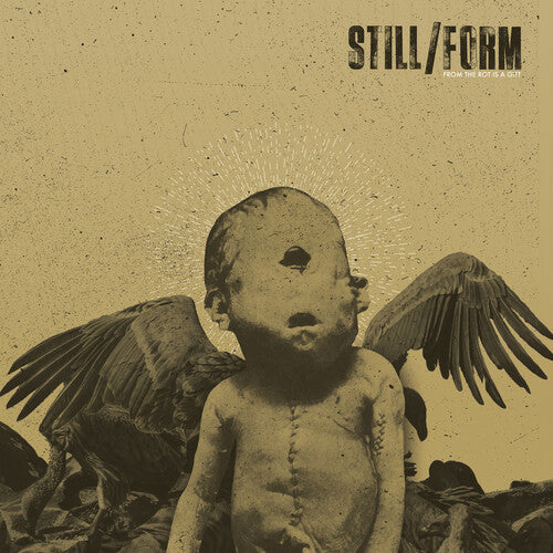 Still/Form: From The Rot Is A Gift -VINYL