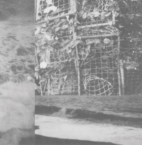 Cremation Lily: The Processes & Instruments Of Normal People -VINYL