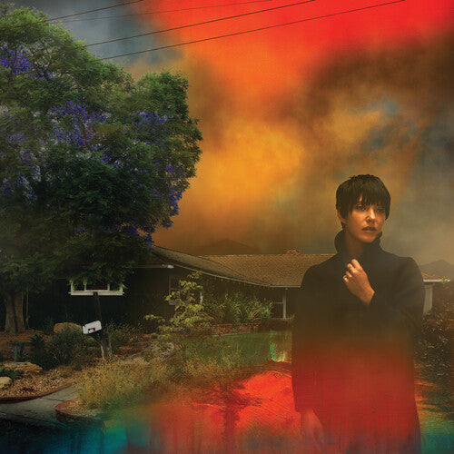 Sharon Van Etten: We've Been Going About This All Wrong - Custard - { VINYL }