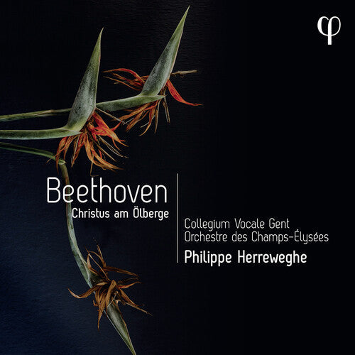 Philippe Herreweghe: Beethoven: Christus Am Olberge - COMPACT DISCS