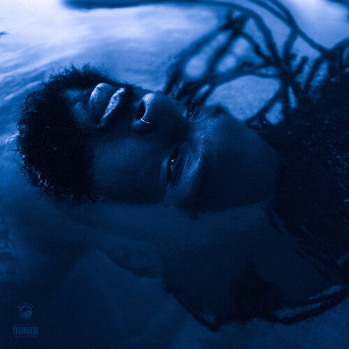 Rexx Life Raj: The Blue Hour -VINYL