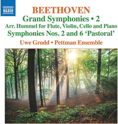 Uwe Grodd: Grand Symphonies Vol 2 - Nos 2 & 6 - COMPACT DISCS