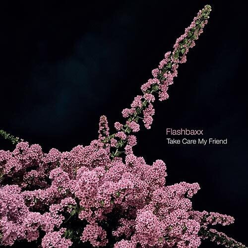 Flashbaxx: Take Care My Friend -VINYL