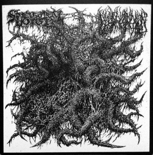 Spectral Voice / Blood Incantation: Split - 7-INCH SINGLE