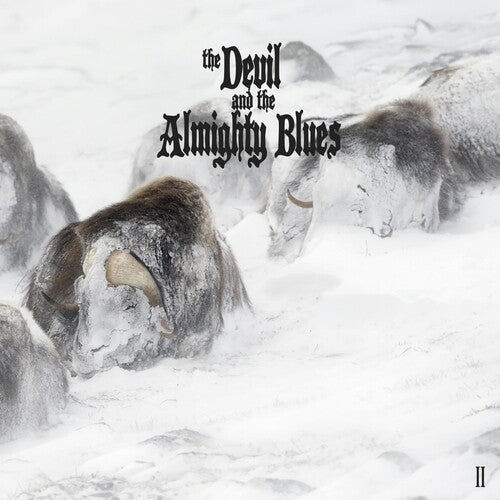 Devil & the Almighty Blues: II -VINYL