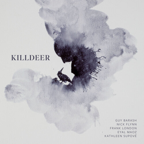 Nick Flynn: Killdeer - COMPACT DISCS