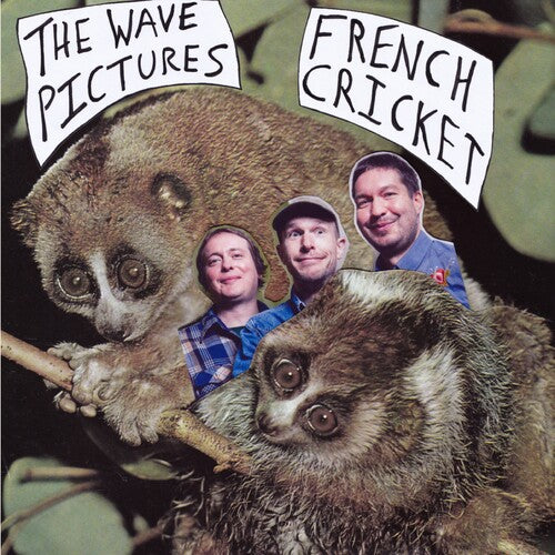 The Wave Pictures: French Cricket - 7-INCH SINGLE
