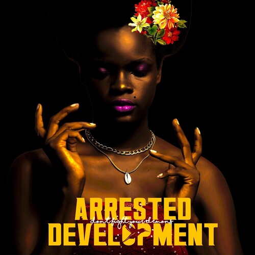 Arrested Development: Don't Fight Your Demons -VINYL