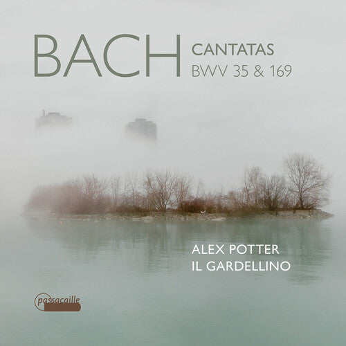 Leo Van Doeselaar: Bach Cantatas Bwv 35 & 169 - COMPACT DISCS