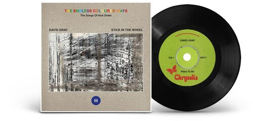 David Gray: The Endless Coloured Ways: The Songs of Nick Drake - David Gray - 7-INCH SINGLE
