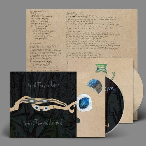 Animal Collective: Spirit They're Gone Spirit They've Vanished - COMPACT DISCS