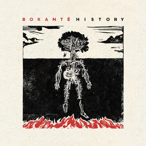Bokante: History - COMPACT DISCS