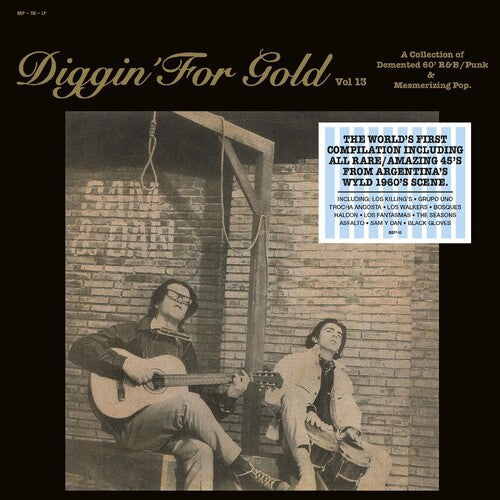 Various Artists: Diggin' For Gold Vol. 13 (Various Artists) -VINYL