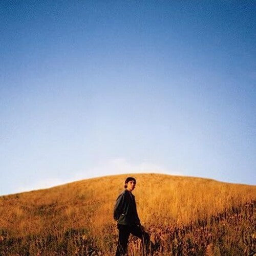 Sam Burton: Dear Departed -VINYL