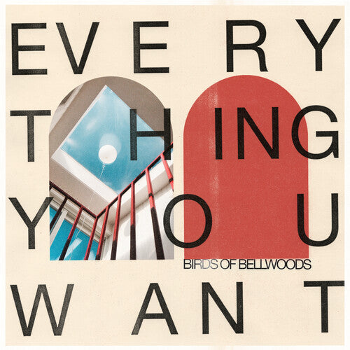 Birds of Bellwoods: Everything You Want -VINYL