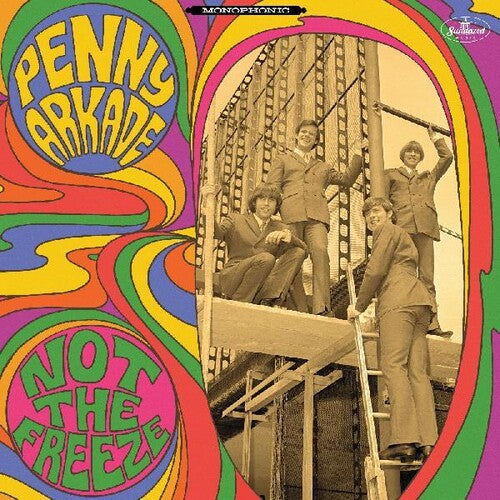The Penny Arkade: Not The Freeze -VINYL