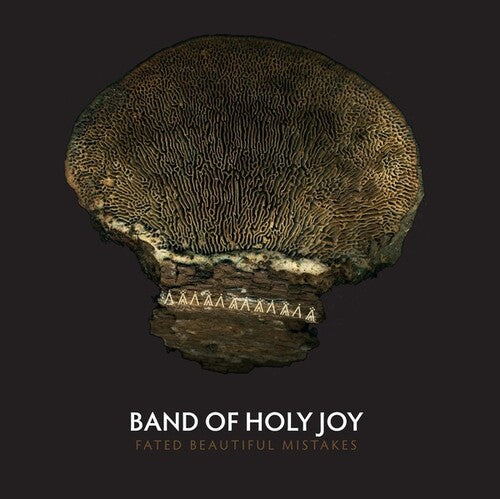 The Band of Holy Joy: Fated Beautiful Mistakes -VINYL