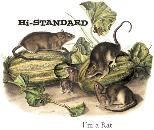 Hi-Standard: I'm A Rat - 7-INCH SINGLE